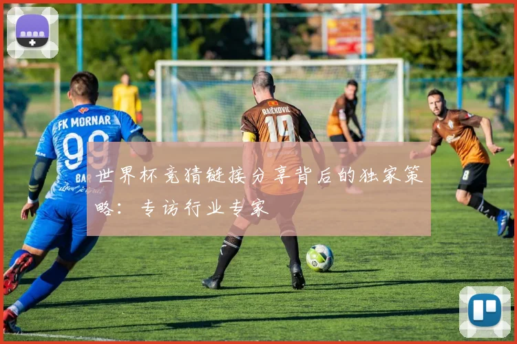 世界杯竞猜链接分享背后的独家策略：专访行业专家