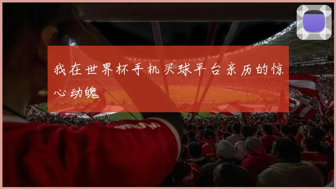 我在世界杯手机买球平台亲历的惊心动魄