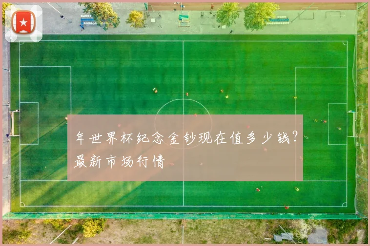 年世界杯纪念金钞现在值多少钱?最新市场行情