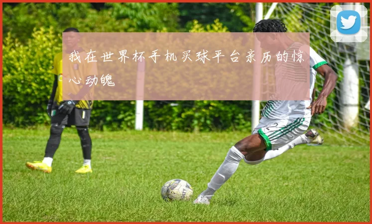我在世界杯手机买球平台亲历的惊心动魄